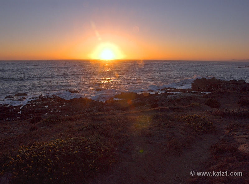 Cambria Sunset